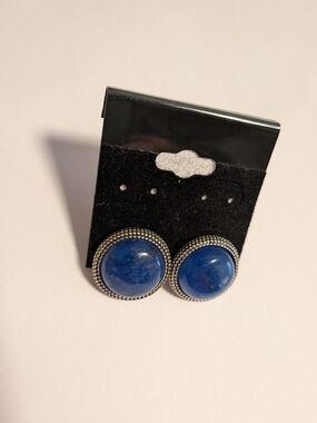 Blue Stone Round Button Earrings